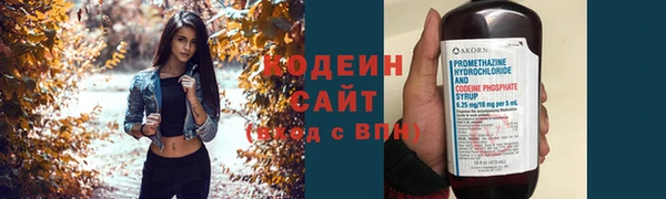 СК Тольятти