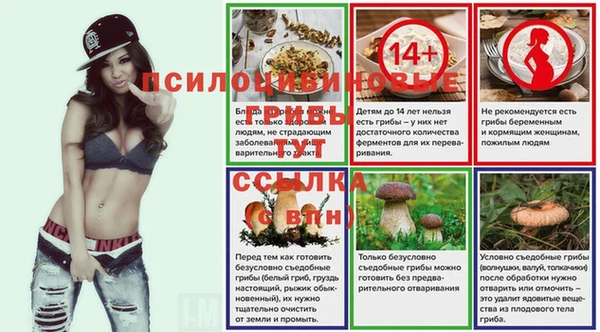 a pvp Кулебаки