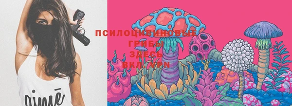 стафф Волоколамск